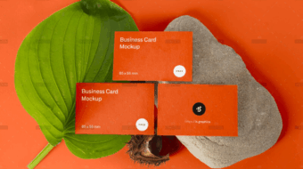 demo-attachment-1798-eh9jwsul